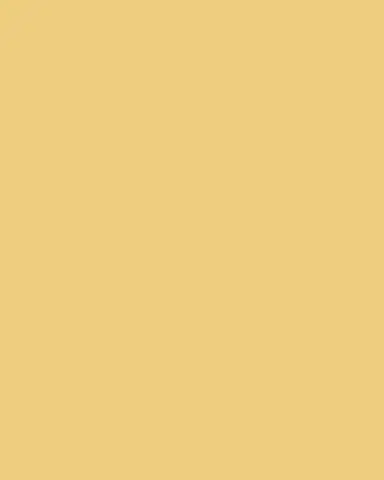 BONDEYE JEWELRY Wave 14k Gold Band Ring | Thumbnail 3