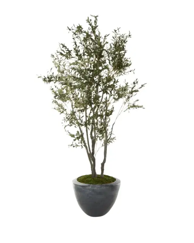 John-Richard Collection Faux Natural Olive Tree in Ceramic Pot - 112"