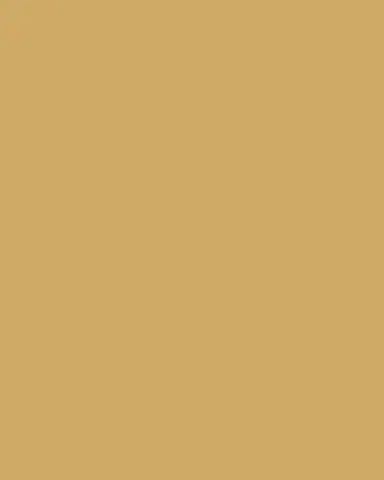 Lucas + McKearn Swirl Large Sconce in Bone | Thumbnail 3 Lucas + McKearn Swirl Large Sconce in Bone | Thumbnail 3
