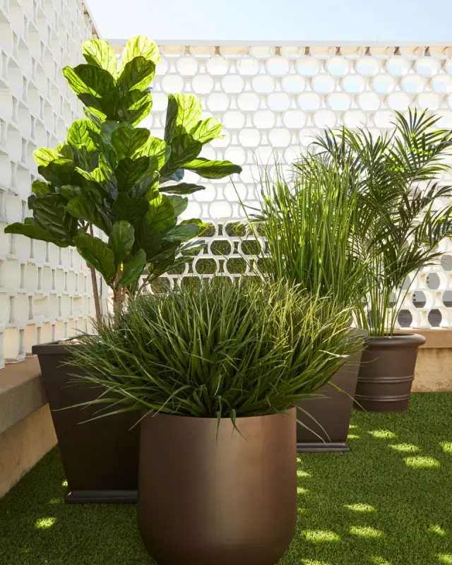 NDI Faux Grass In Tapered Square Pot, 65"T