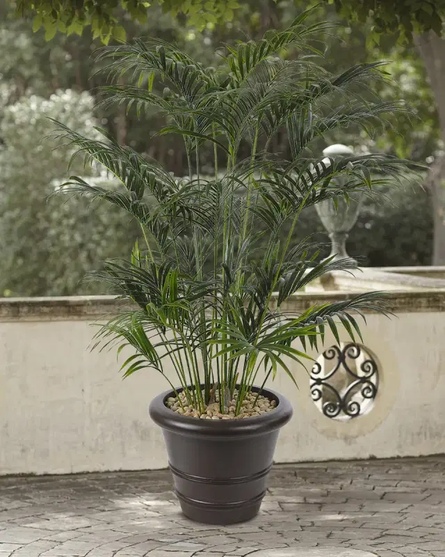 NDI Faux Palm Kentia Tree In Ribbed Planter, 84"T