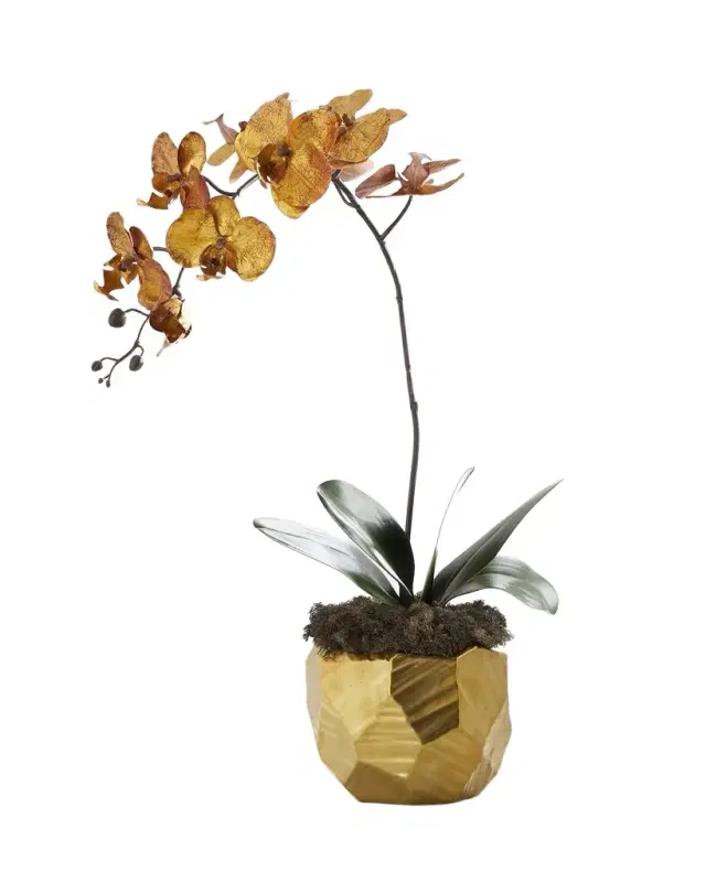 John-Richard Collection Burnished Orchid Arrangement
