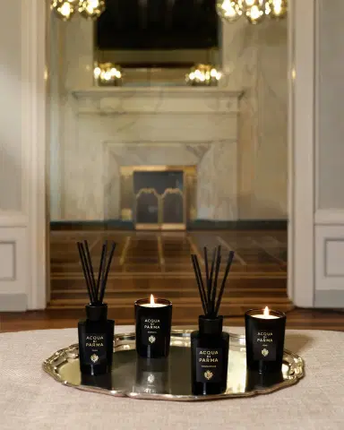 Acqua di Parma Signatures of the Sun Osmanthus Diffuser, 6 oz. | Thumbnail 3