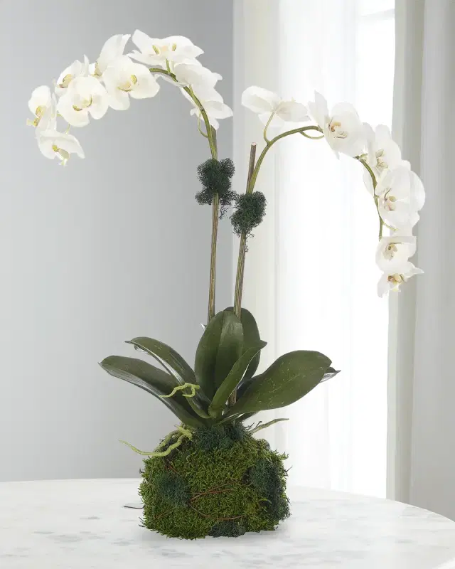 NDI Phalaenopsis Orchid 25" Faux Floral Arrangement in Moss Ball