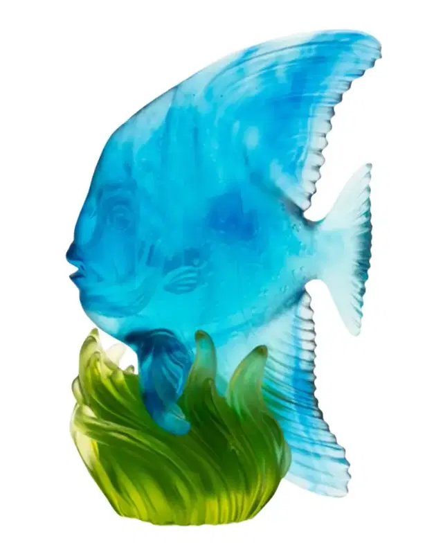 Maya Blue and Green Medium Platax Fish