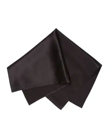 Stefano Ricci Men's Crystal-Embellished Silk Pocket Square | Thumbnail 1