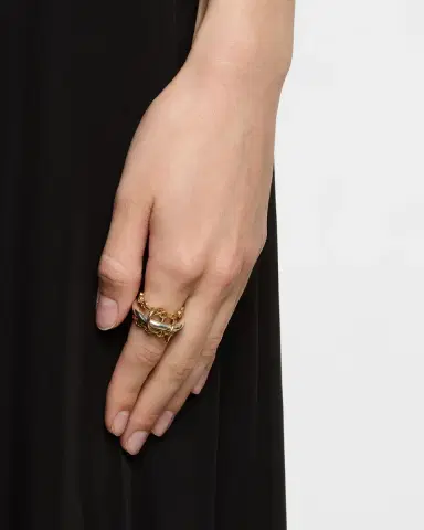 Spinelli Kilcollin x HOORSENBUHS 18K Yellow Gold and Sterling Silver Microdame Link Stacked Rings | Thumbnail 2