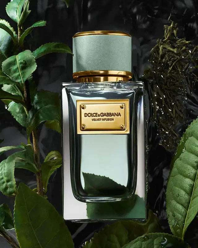 Dolce & Gabbana Beauty Velvet Infusion Eau de Parfum, 3.3 oz.