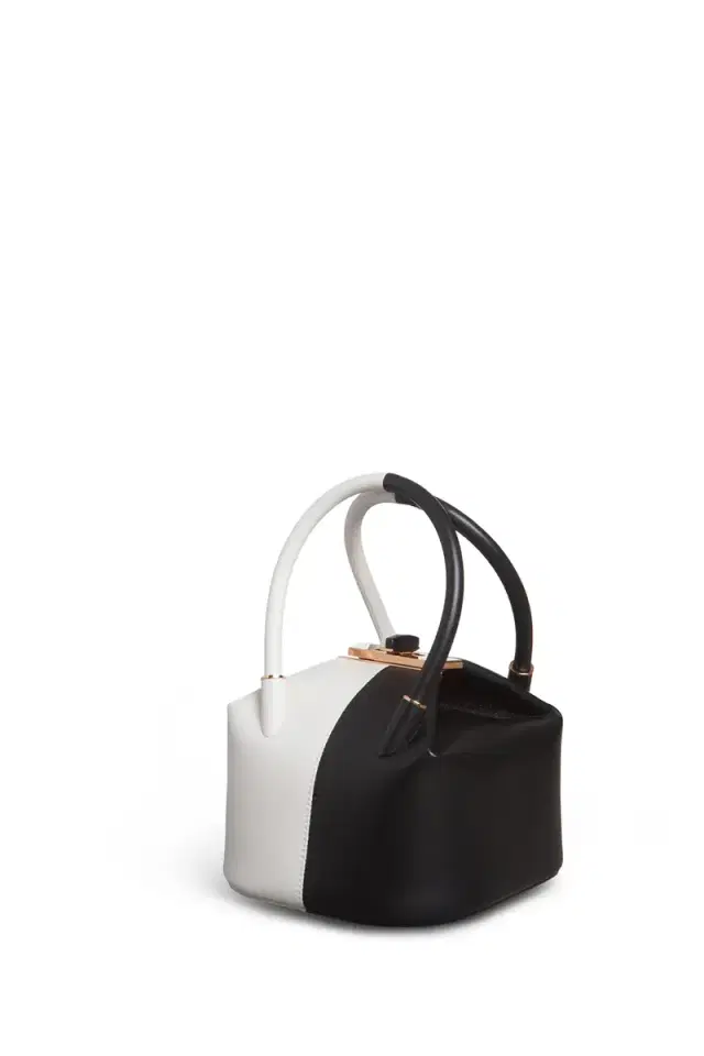 Mini Baez Bag in Black &  Nappa Leather