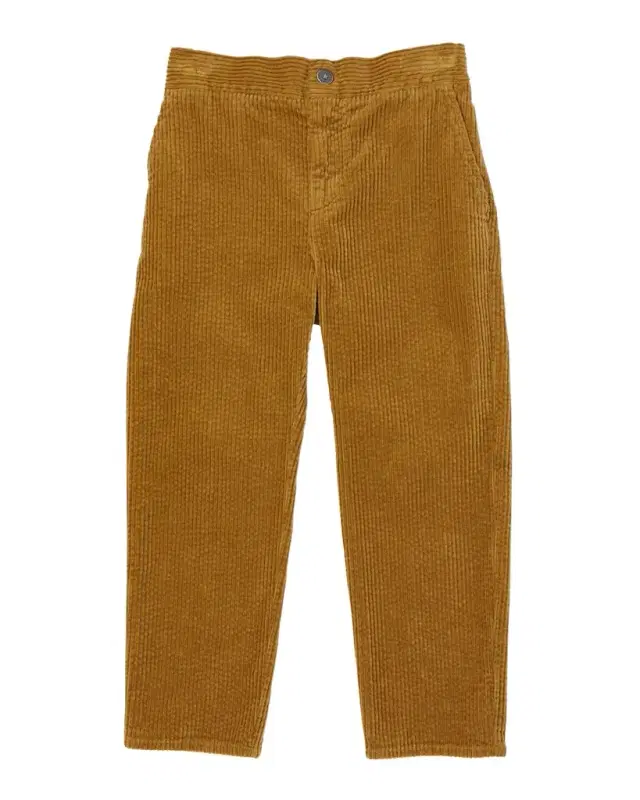 Boy 's Journey Embroidered Cordroy Chino Pants, Size 4-12