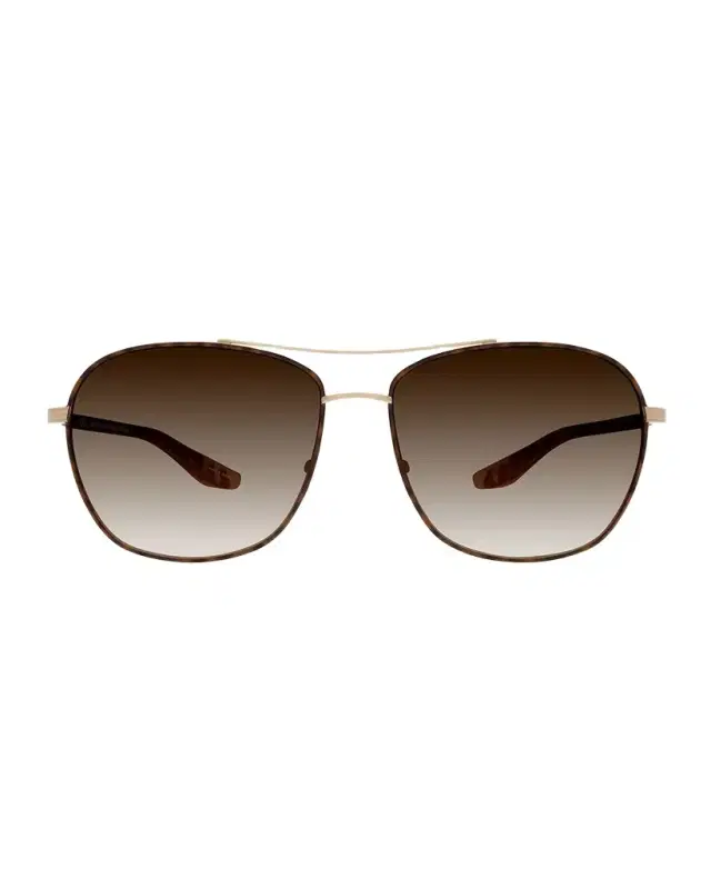 Sully Aviator Titanium Sunglasses