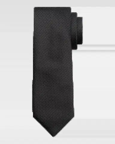 Canali Men 's Tonal Jacquard Silk Tie | Thumbnail 2