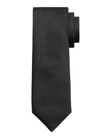 Canali Men 's Tonal Jacquard Silk Tie | Thumbnail 1