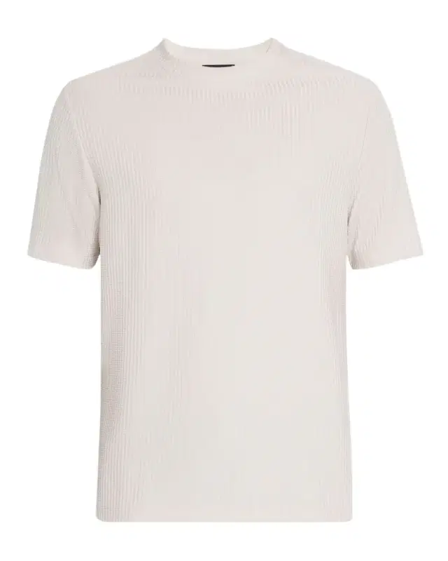 Men's Argon Stripe Textured Crewneck T-Shirt