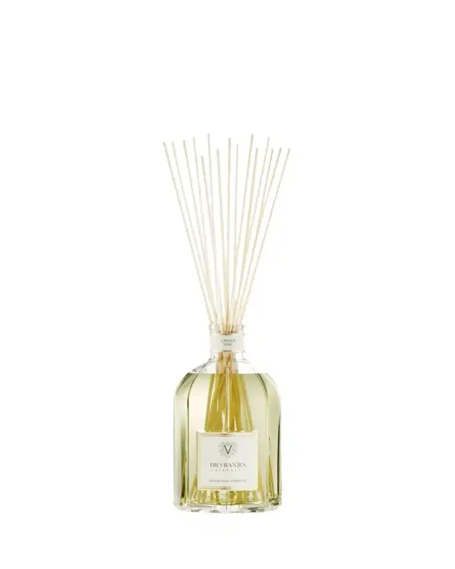 Dr. Vranjes Firenze 42 oz. Ginger Lime Glass Bottle Home Fragrance