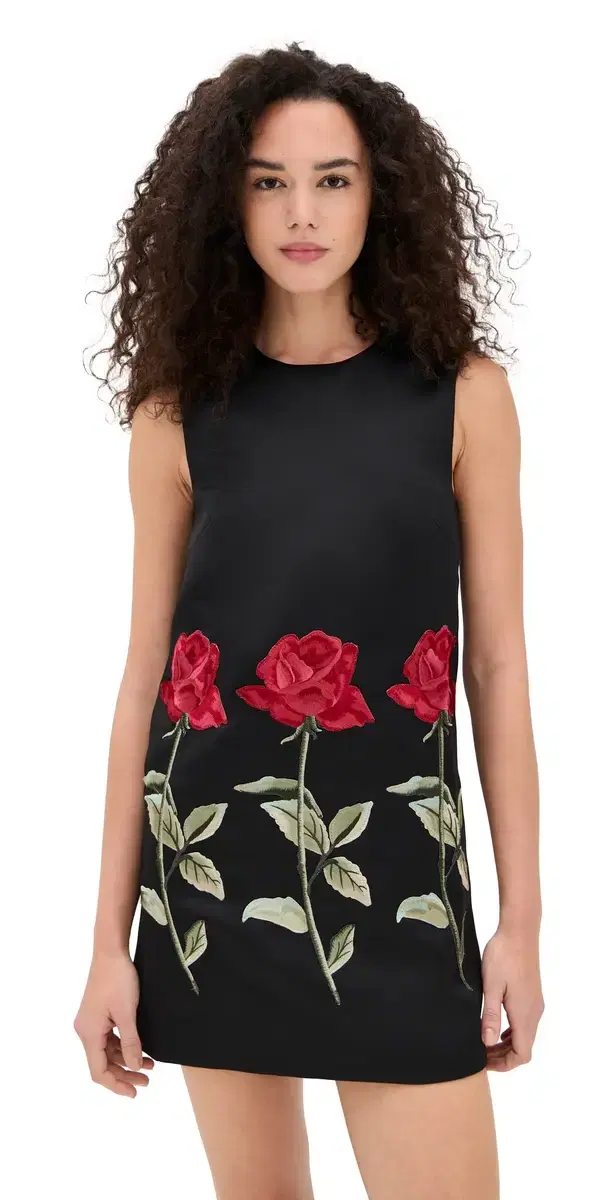 Yvonne Embroidered Mini Dress Ebony