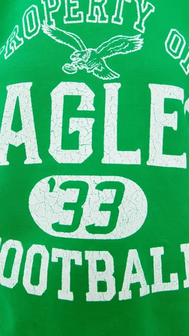 Junk Food Eagles Property Crew Fleece | Thumbnail 6