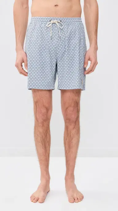 Marine Layer Lined port & wim Shorts 6 Light Blue Agave Print | Thumbnail 2