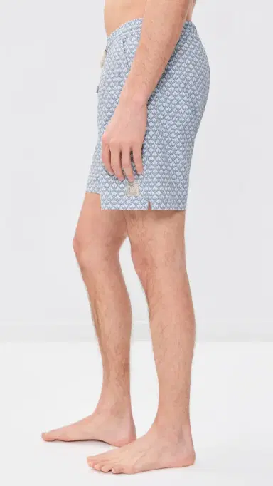 Marine Layer Lined port & wim Shorts 6 Light Blue Agave Print | Thumbnail 4