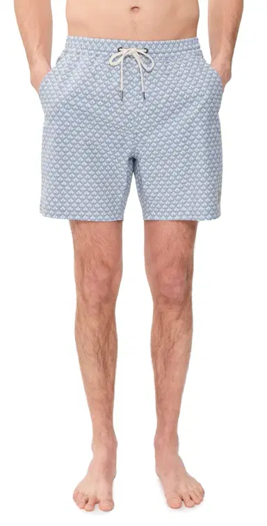 Marine Layer Lined port & wim Shorts 6 Light Blue Agave Print | Thumbnail 1