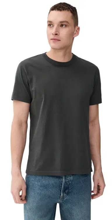 Citizens of Humanity Everyday Cotton Tee Volcanic L | Thumbnail 1