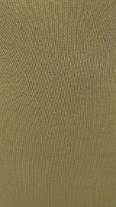 Paris Georgia Sheer Baby Tee Clay L | Thumbnail 6