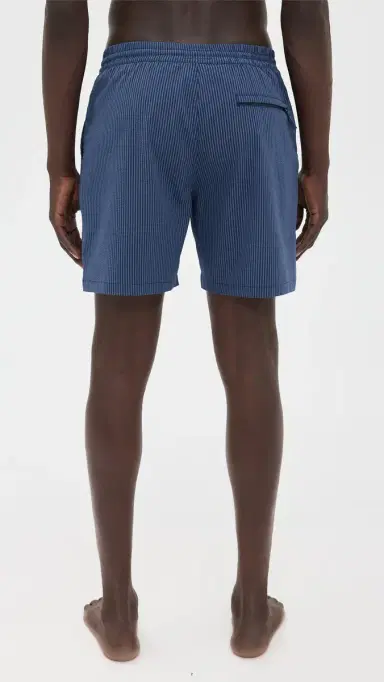 Marine Layer Lined port & wim Shorts 6 Navy/Blue tripe | Thumbnail 3