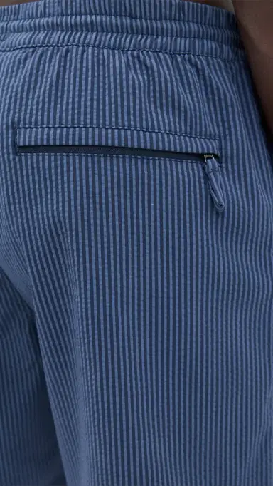 Marine Layer Lined port & wim Shorts 6 Navy/Blue tripe | Thumbnail 6