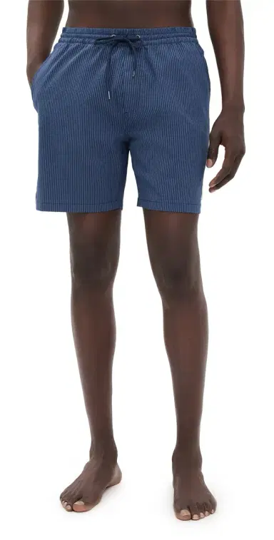 Marine Layer Lined port & wim Shorts 6 Navy/Blue tripe | Thumbnail 1