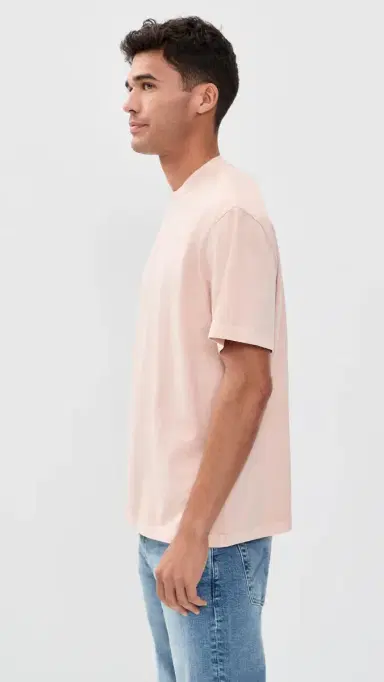 Madewell Vintage Tee Ambient Pink | Thumbnail 4