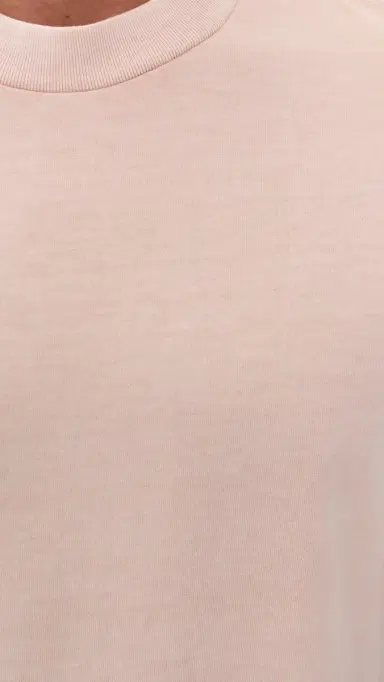 Madewell Vintage Tee Ambient Pink | Thumbnail 6