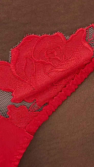 For Love & Lemons Love is a Rose Thong Panties Red | Thumbnail 5