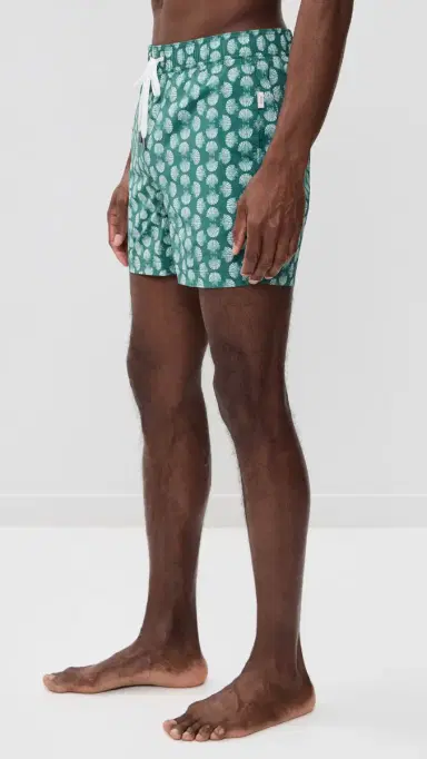 Onia Charles Swim Trunks 5 Aloe Multi | Thumbnail 4