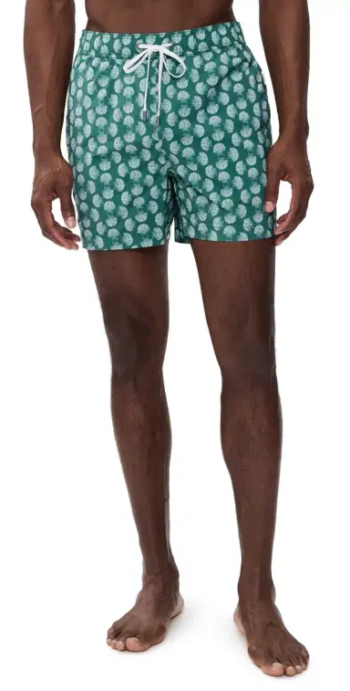 Onia Charles Swim Trunks 5 Aloe Multi | Thumbnail 1