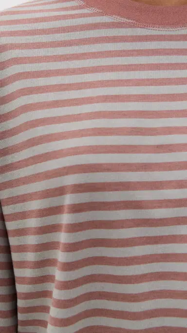 LIONESS Bloom Long Sleeve Tee Muted Pastels Stripe | Thumbnail 6