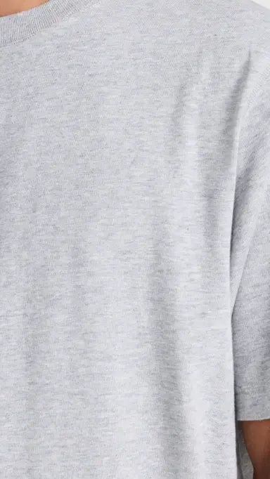 Reigning Champ Midweight Jersey OG T-Shirt Heather Grey | Thumbnail 6