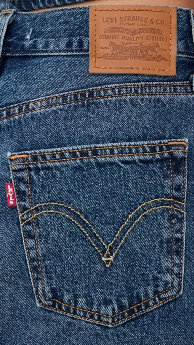 Levi's Icon Skirt Phoenix Rising Skirt 24 | Thumbnail 6