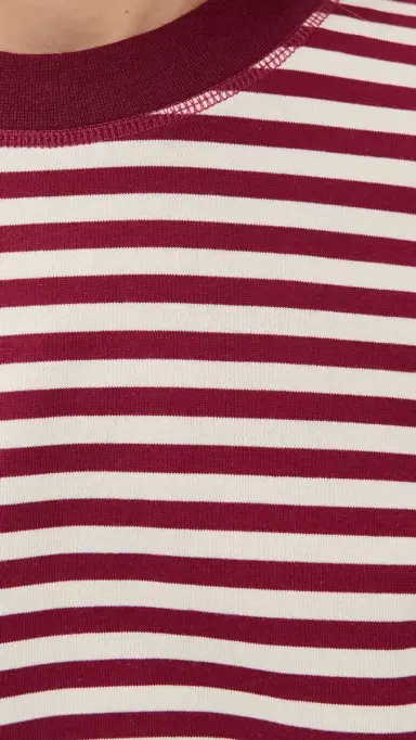 Lioness Bloom Long Sleeve Tee Wine Stripe | Thumbnail 6