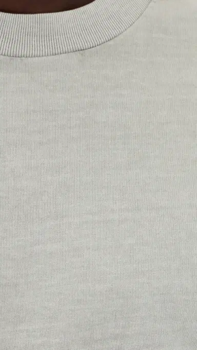 Madewell Vintage Tee Pewter | Thumbnail 6