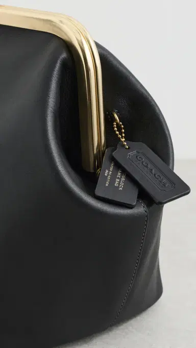 Coach Kisslock Frame Bag 27 Shoulder Bag | Thumbnail 5 Coach Kisslock Frame Bag 27 Shoulder Bag | Thumbnail 5