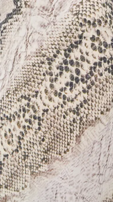 MADISON THE LABEL Fontana Maxi Dress Snake Print | Thumbnail 6