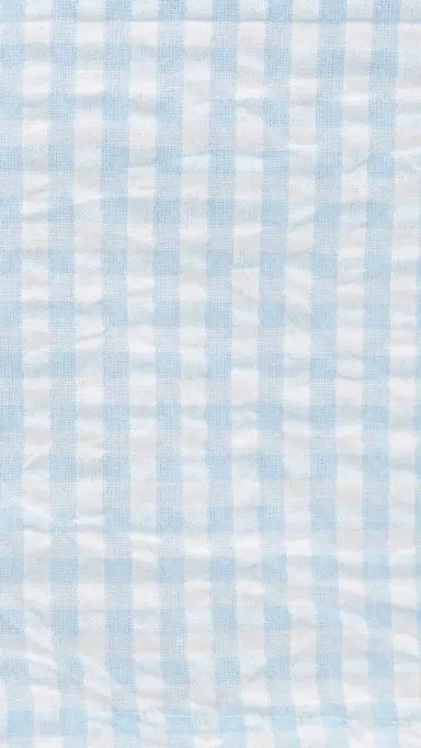 For Love & Lemons Bradford Gingham Skort Blue L | Thumbnail 6