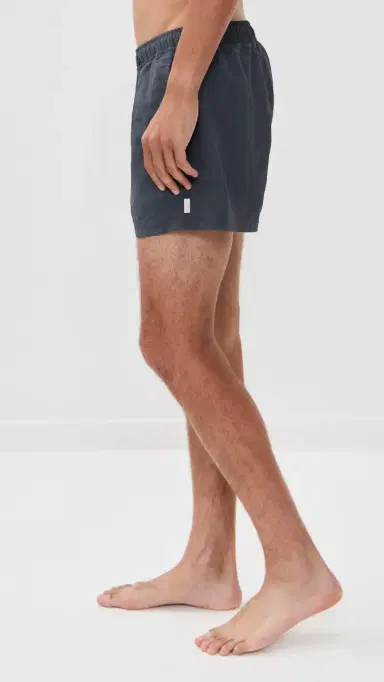 AUTO-REPLY Solid Sebastian Swim Trunks 4 Granite L | Thumbnail 4