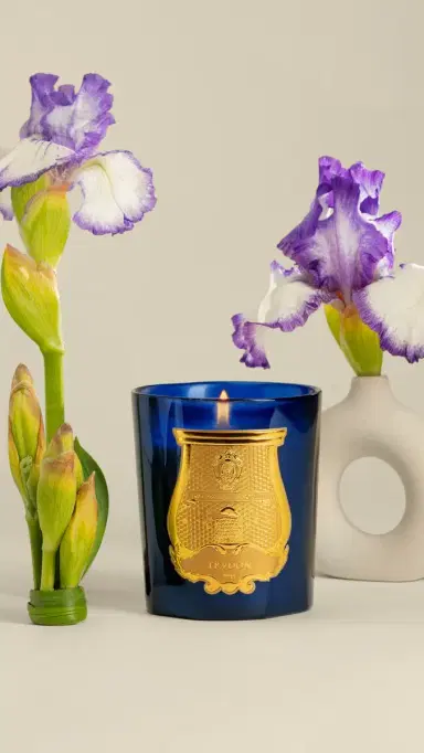 Trudon Ourika Candle Iris 270 mL | Thumbnail 3 Trudon Ourika Candle Iris 270 mL | Thumbnail 3