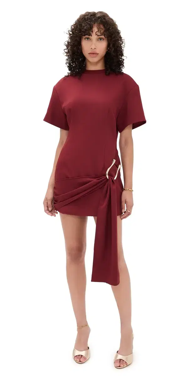 Martini Mini Dress Merlot
