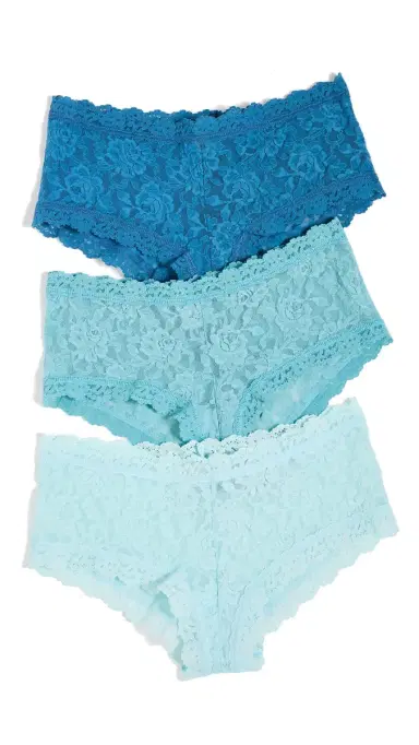 Hanky Panky Lace Boy Shorts 3 Pack omething Blue | Thumbnail 6