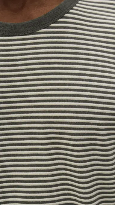 Madewell Allday Tee Stripe Pelican Green | Thumbnail 6