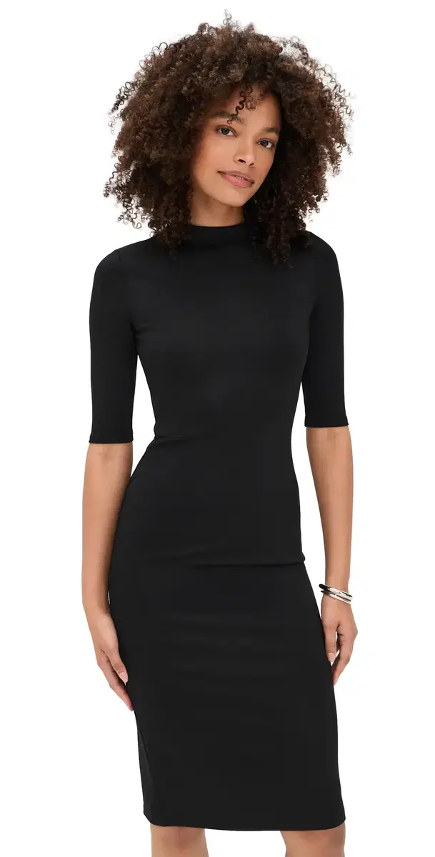 Delora Fitted Mock Neck Dress Black
