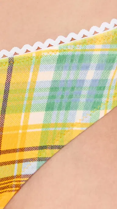 Solid & Striped The Daphne Bikini Bottoms ulti Plaid | Thumbnail 5 Solid & Striped The Daphne Bikini Bottoms ulti Plaid | Thumbnail 5