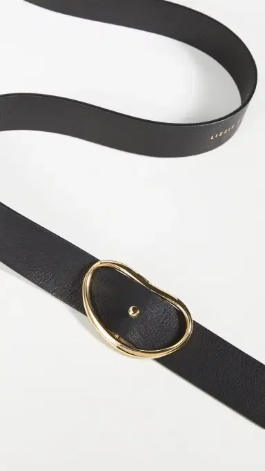 Lizzie Fortunato Wide Georgia Belt | Thumbnail 4 Lizzie Fortunato Wide Georgia Belt | Thumbnail 4